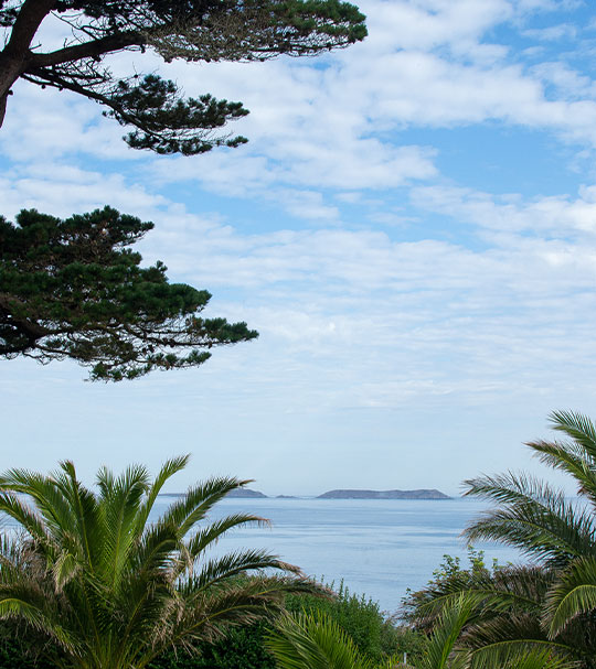 sea view restaurant in Perros Guirec